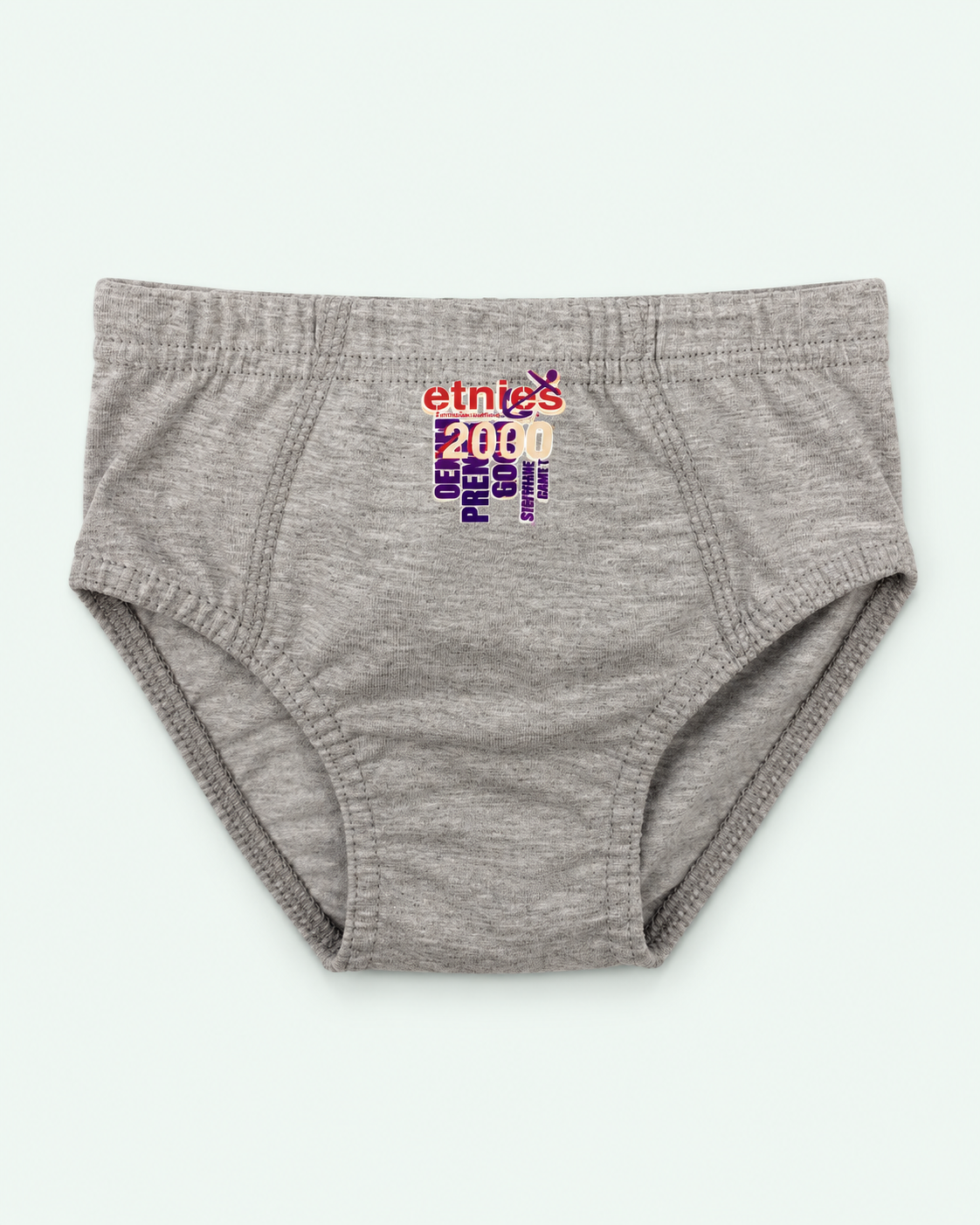 Boys Etnies 2000 gray cotton briefs