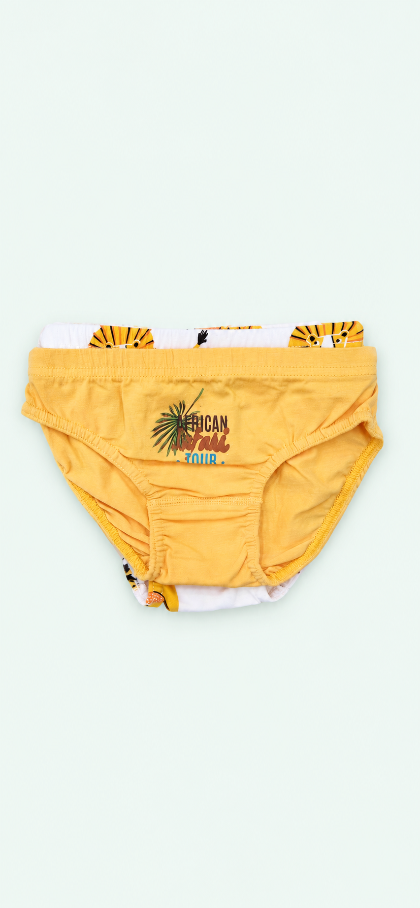 Boys’ Safari & Lion-Print Briefs - 2 Pieces, view 1