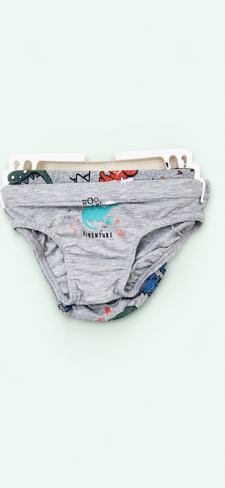 Boys’ Grey Dinosaur Briefs - 2 Pieces, view 1