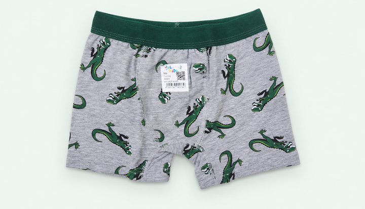 Boys’ Grey Dinosaur-Print Boxer Briefs, view 1